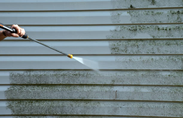 Best Driveway Pressure Washing  in Colton, CA